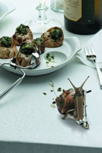 LA FUITE D'UN ESCARGOT !!!!!!