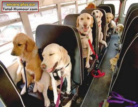 LE VOYAGE !!!!!!!