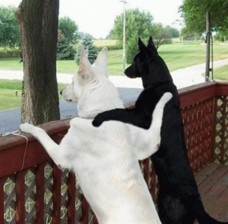 AH L'AMOUR ALORS !!!!!!!
