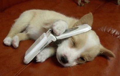 ALLO !!!!!