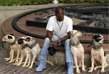 LA CLASSES LES CHIENS !!!!