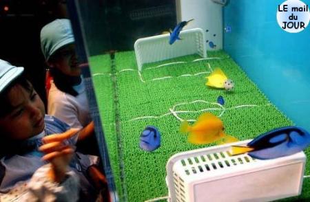 PARTIE DE FOOT !!!!!!!!