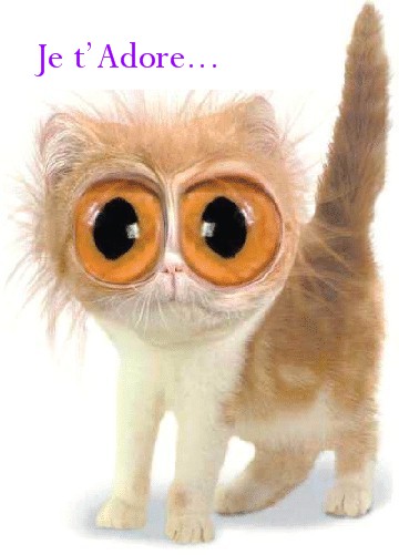 OH LES YEUX  !!!