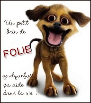 LA VIE